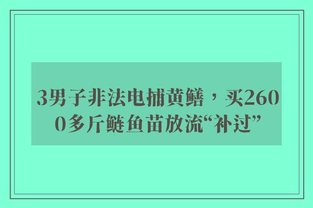 3男子非法电捕黄鳝，买2600多斤鲢鱼苗放流“补过”