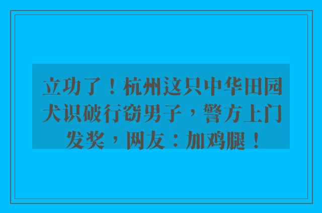 立功了！杭州这只中华田园犬识破行窃男子，警方上门发奖，网友：加鸡腿！